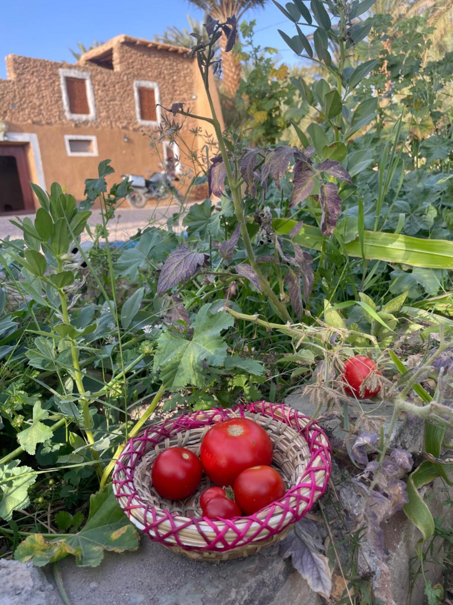 Maison D'Hote Dar Imrane Tata Buitenkant foto